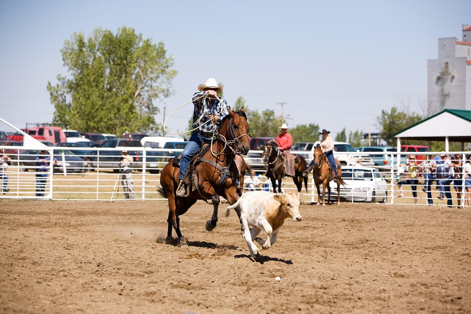 Rodeo rider competing in calf roping near Coulee City, Washington.